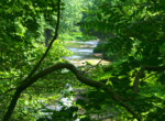 River15